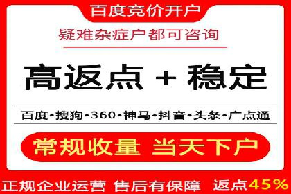 成功运用SEM服务实现品牌推广的案例分析
